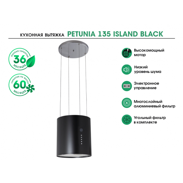 PETUNIA 135 ISLAND BLACK