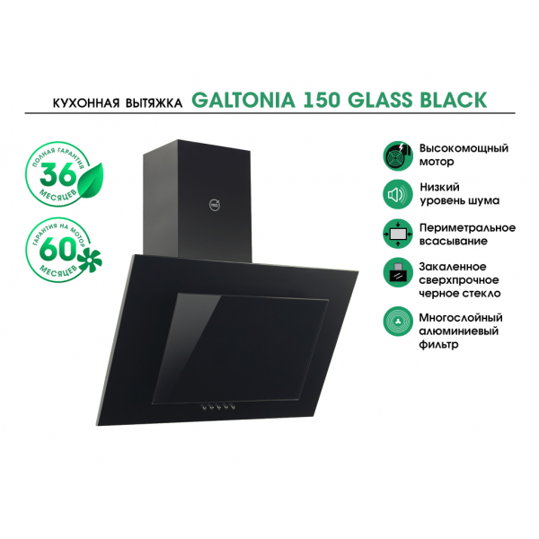 GALTONIA 150 GLASS BLACK