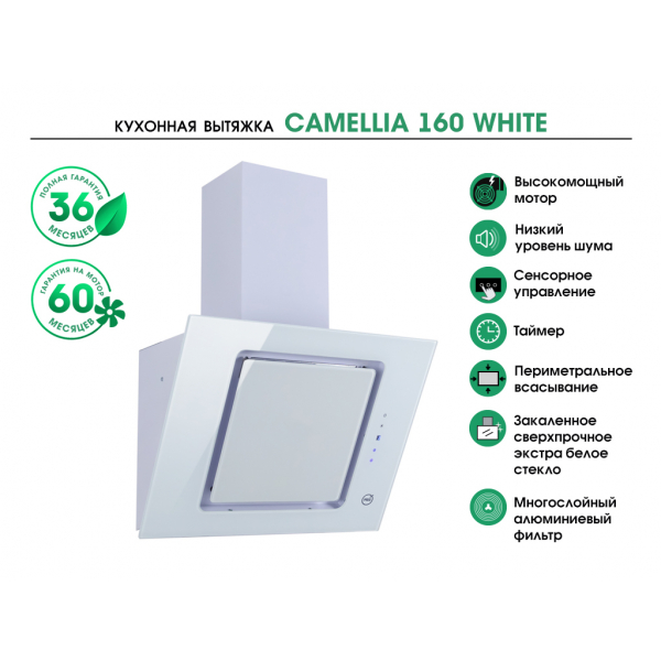 CAMELLIA 160 WHITE