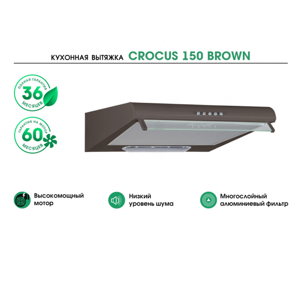 CROCUS 150 BROWN