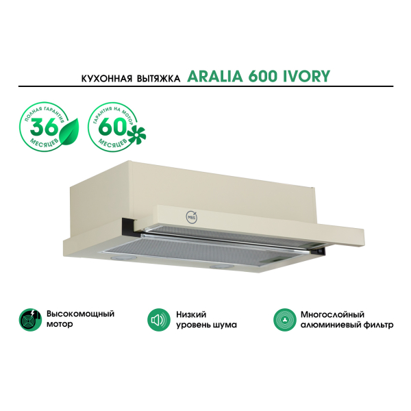 ARALIA 600 IVORY ARALIA 600 IVORY