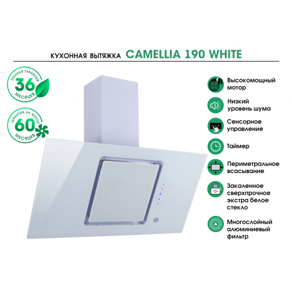 CAMELLIA 190 WHITE