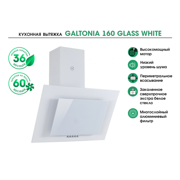 GALTONIA 160 GLASS WHITE