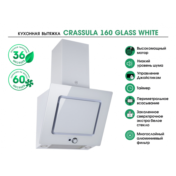 CRASSULA 160 GLASS WHITE