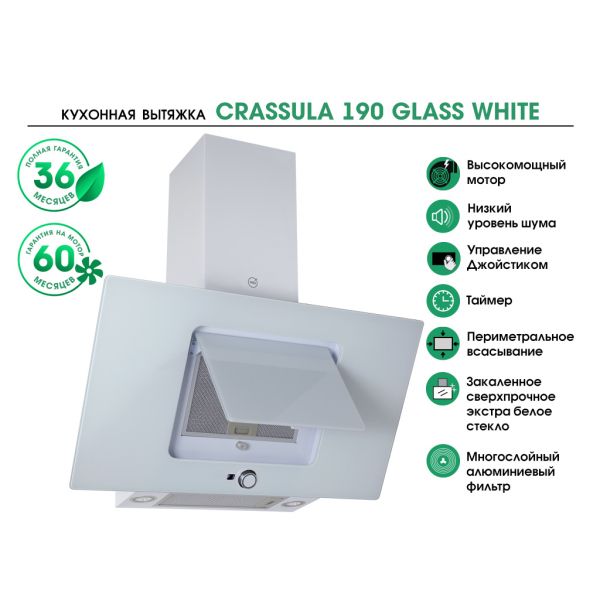 CRASSULA 190 GLASS WHITE